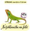nažehlovačka, NNF807 střední nažehlovačka