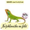 nažehlovačka, NNF807 menší