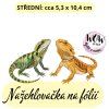 nažehlovačka, NNF808 střední nažehlovačka