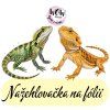 nažehlovačka, NNF808