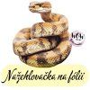 nažehlovačka, NNF809