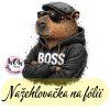 nažehlovačka, NNF817
