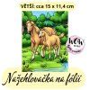 nažehlovačka,NNF830 větší nažehlovačka