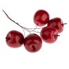 Svazek, Jablka, červená, 3,5cm, 5ks/svazek (DHV192008)