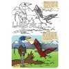 100221, Omalovánky, Druhohory s Bětkou-Dobrodružství s dinosaury, 210×297mm, 1ks