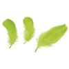 Pírka, Peří, SVĚTLE ZELENÁ, 5-12 cm, 16g/bal.