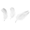 Pírka, Peří,  BÍLÁ, 5-12 cm, 16g/bal.