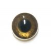 GU333, Plastový knoflík, oko, hnědé, 13 mm / 1 kus