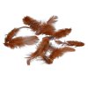 Peří, 10g, barva SYTÁ HNĚDÁ, 1-10 cm, 1 bal.