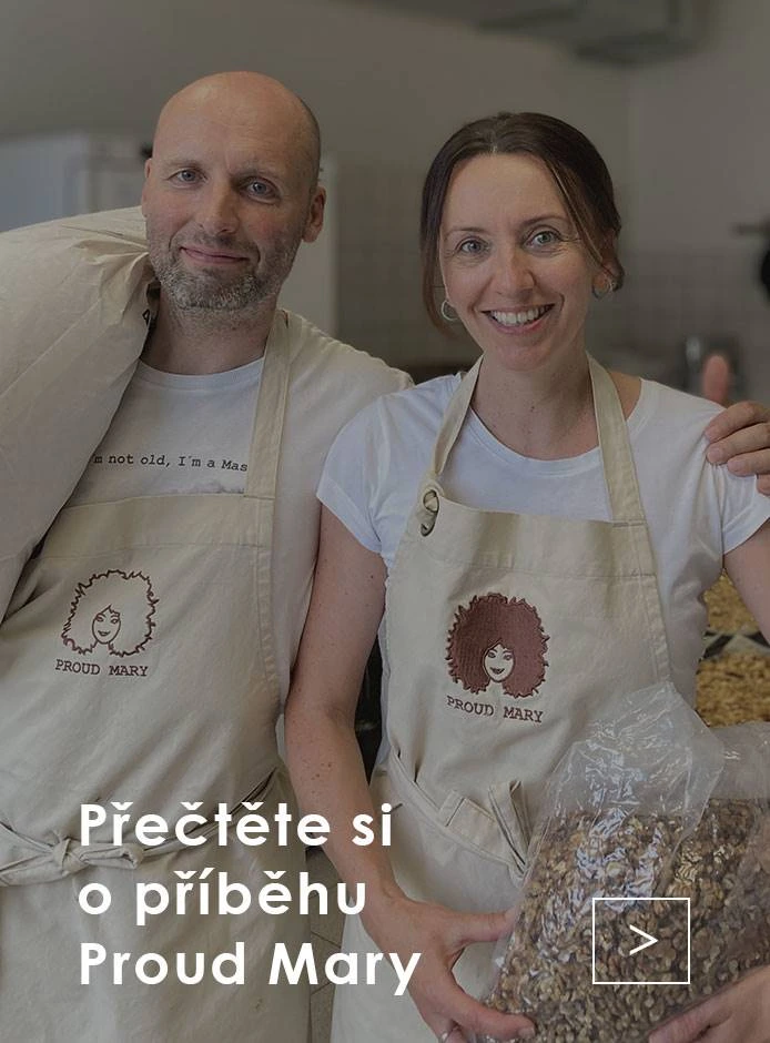 Příběh Co je Proud Mary