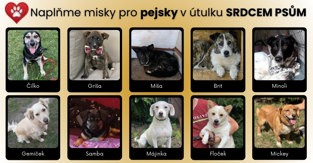 Podpořte útulek Srdcem psům z.s. nákupem krmiva v našem e-shopu