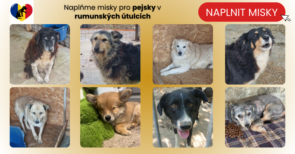 Podpořte rumunáčky nákupem krmiva na proutulky.cz