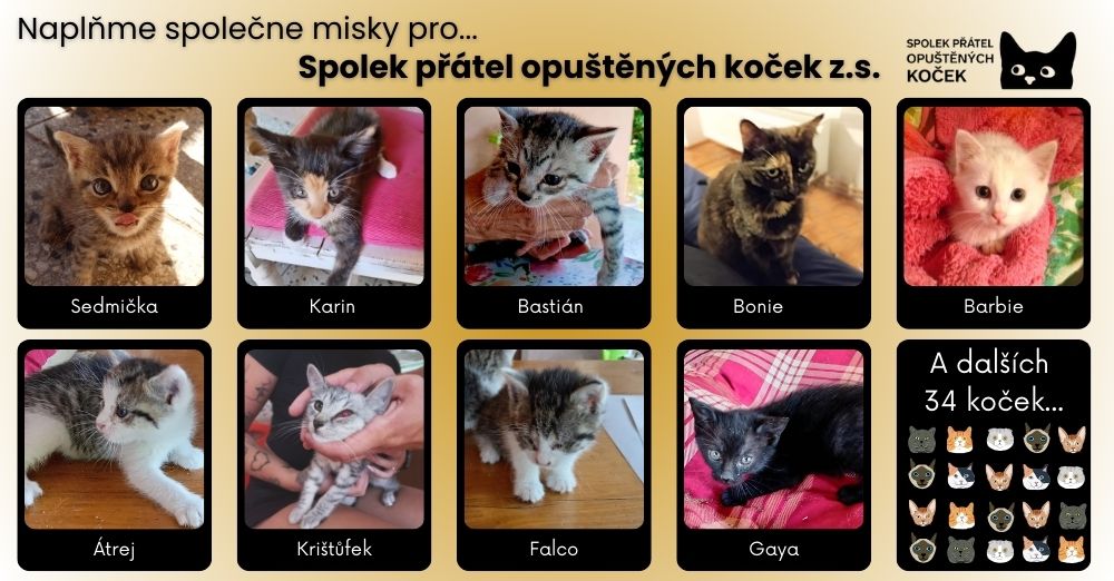 Podpora spolku přátel opuštěných koček z.s. přes Proutulky.cz