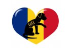 17. Heart for Romanian dogs