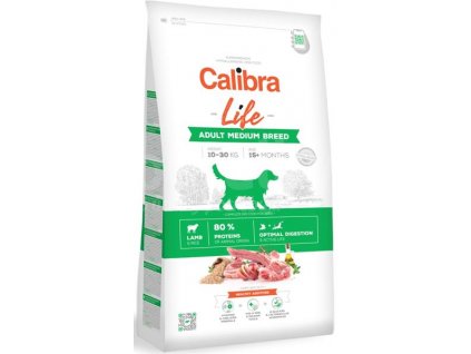 2015 zb009630 1591625596