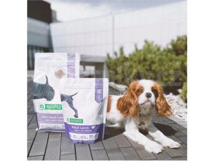 KRM14371 001 1728657445