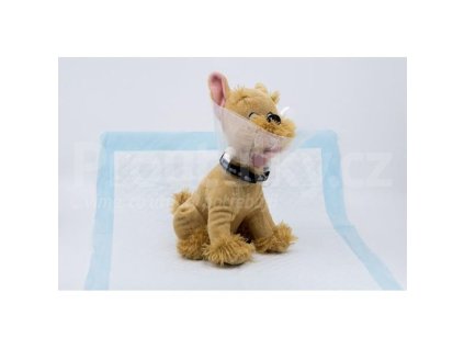 ZB022277 001 1695225630