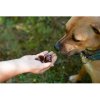 Geloren Dog L - XL 60 tbl JP