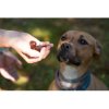 Geloren Dog L - XL 60 tbl JP