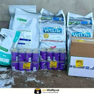 Děkujeme každému, kdo poslal krmivo pro pejsky do útulku @jmenem_psa_z.s 🤍🐶 I díky vám jsou misky o kousek plnější. Chceš...