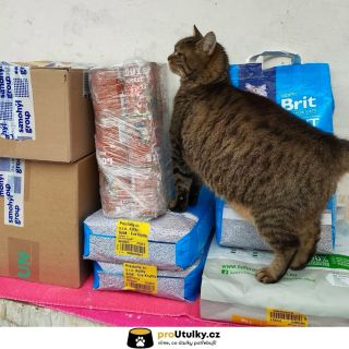 Hlídám. Kontroluji. Děkuji MŇAU! 😌🐱 Podpora pro Kočky Sobě z.s. znamená jistotu plné misky 🥣 Pojďme pokračovat 👉 link v...