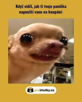 Koupání? NE. 🛁😅 Pomoc pejskům? VŽDY. 🐶💙 👉 Pomoz útulkům naplnit misky 🔗 Odkaz v bio