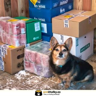 Plné misky ✔️ Spokojené psí oči ✔️ Dobré skutky ✔️💙 Děkujeme každému, kdo pomohl útulku @dejtenamsanci 👉 Chceš pomoci i...