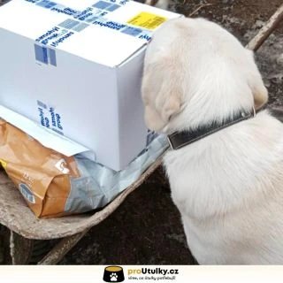 Společně děláme svět lepším pro pejsky 🐶💛 Děkujeme, že stojíte při @srdcem.psum 🐾 Chceš pomoci? 👉 link v bio