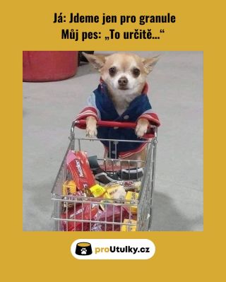 Psí oči… a do košíku jde všechno 🛒 Ale co pejsci, kteří nemají svůj domov? I oni si zaslouží plnou mističku. Pomůžeš ji...