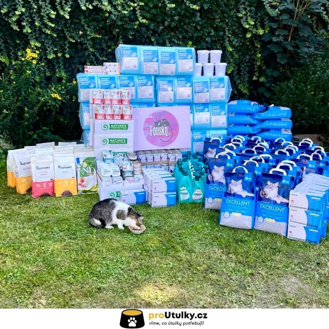@fouskyzs přadou radostí! 🐱 Děkujeme, že jim pomáháte přečkat zimu v teple a s plnými bříšky. 💛 Odkaz na pomoc najdete v bio!