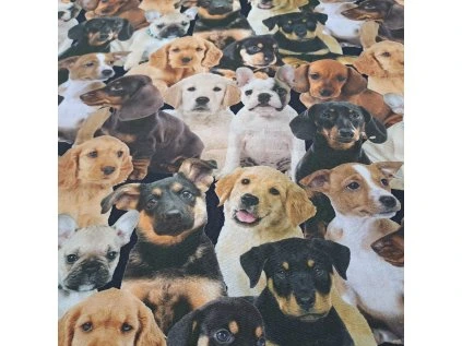 bavlněná látka ŠTĚŇATA