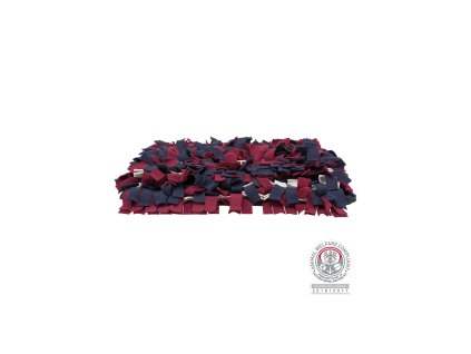 567 1 dog activity sniffing carpet cichaci koberec 50 x 34 cm