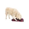 567 dog activity sniffing carpet cichaci koberec 50 x 34 cm