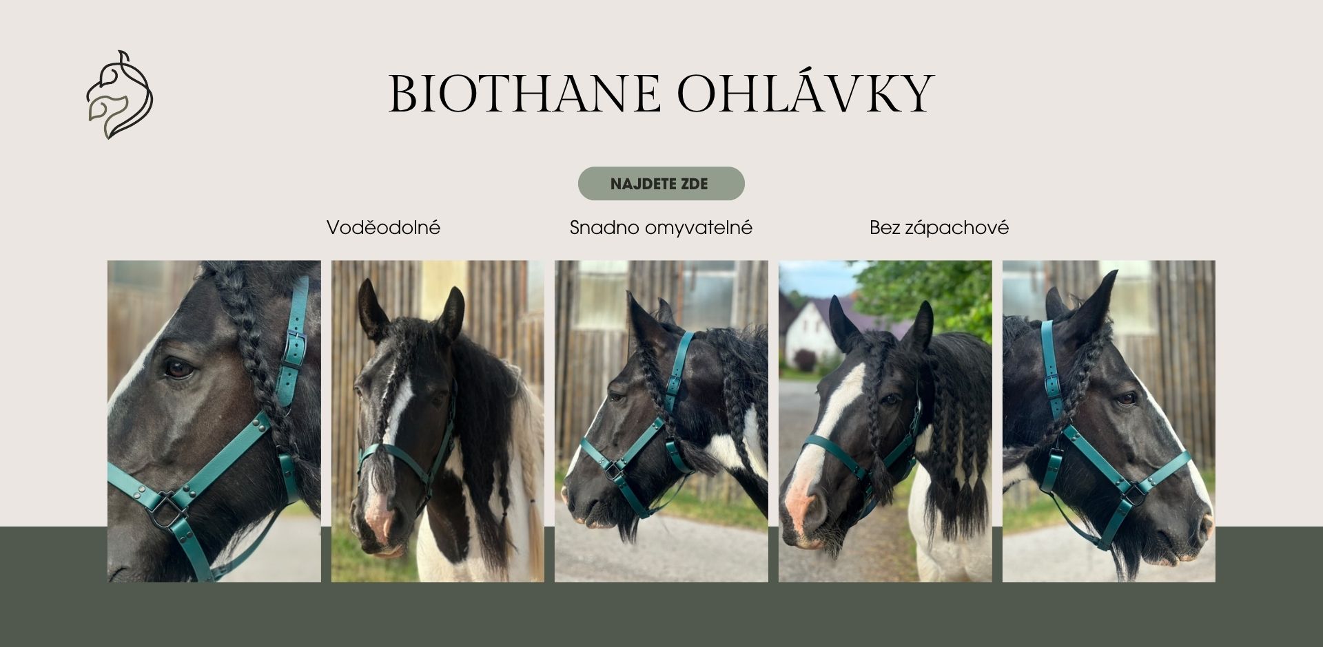 Biothane ohlávky