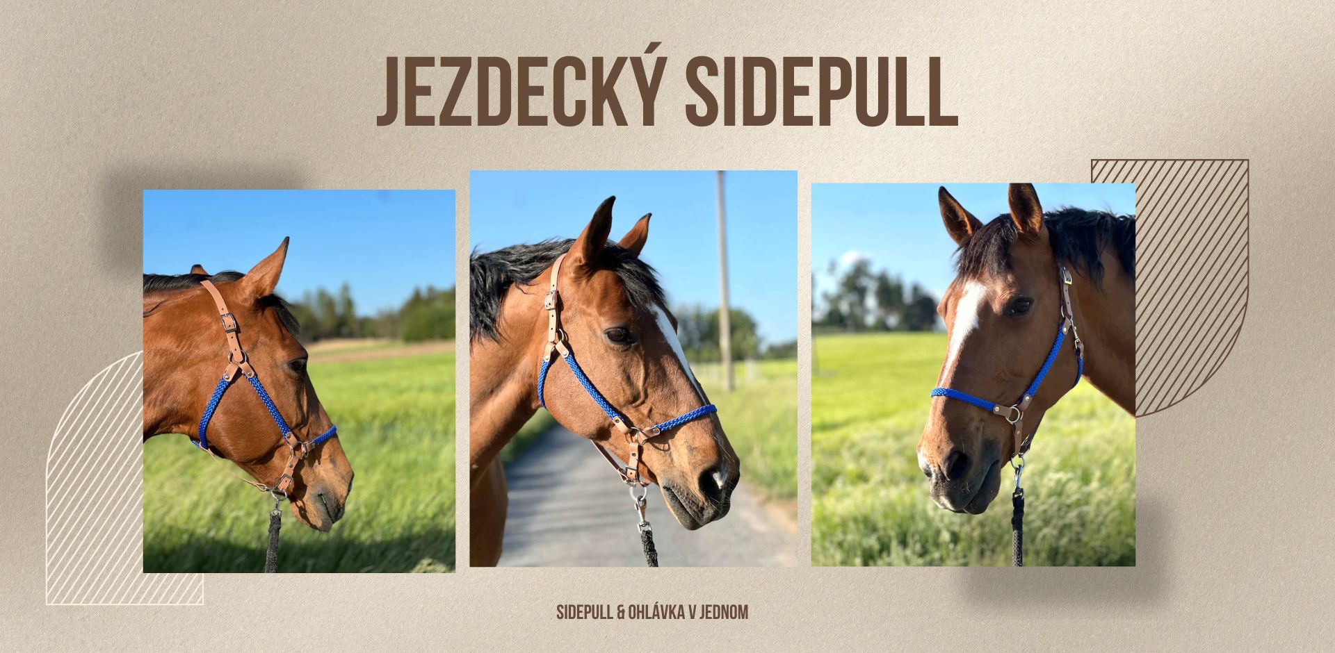 Sidepull