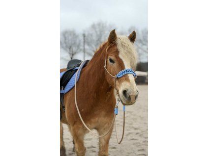 527D0E49 012D 49CC A7B1 2B9C053B280A