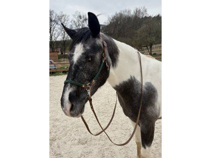 Set Sidepull & Voděodolné otěže