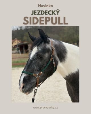 ✨SIDEPULL✨ Dlouho očekávaná novinka je konečně tady.🤎Představujeme Vám sidepull, který lze využít na bezudidlové ježdění a...