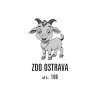 1 ZOO Ostrava 106