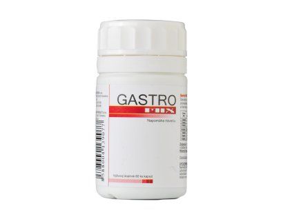 GASTROMIX2