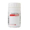 GASTROMIX2
