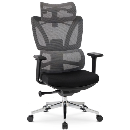 Ergonomické kancelárské kreslo DELSIN