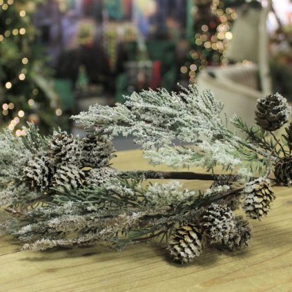 proxima store haluzka