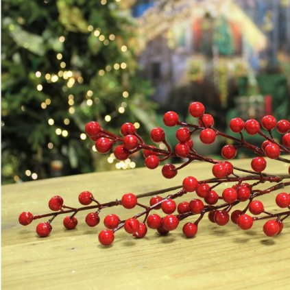 proxima store haluzka cervena