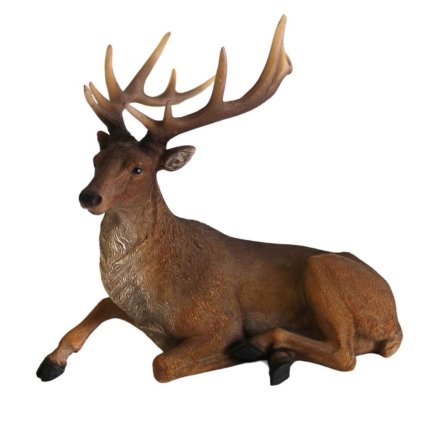 PROXIMA.store - jeleň