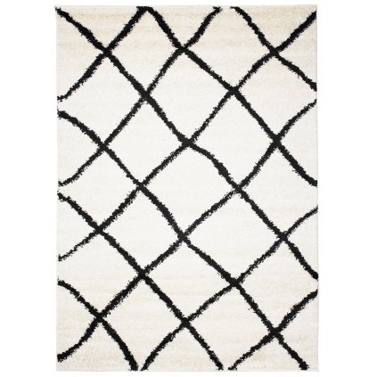 Dizajnový koberec REVA - SHAGGY