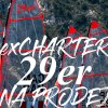 plachetnice 29er prodej ex charter 4