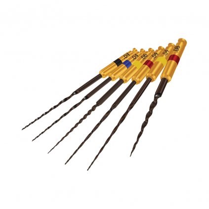 HyFlex CM (Varianta NiTi 08/25 19 mm, 6 ks)