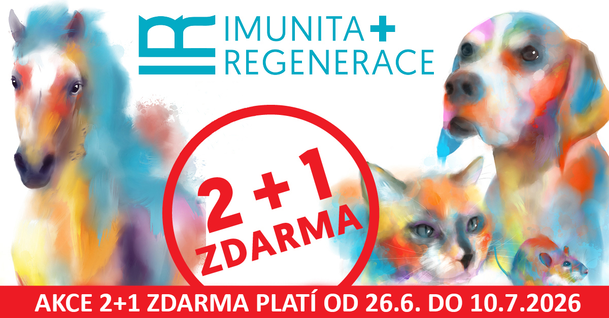 Akce 2+1