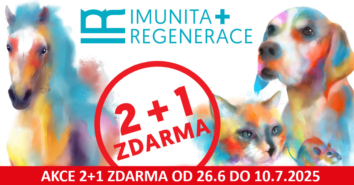 Akce 2+1